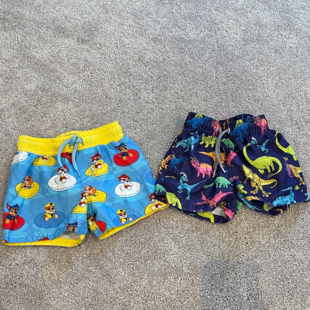 Kids' Cartoon and Dinosaur Print Swim trunk Set